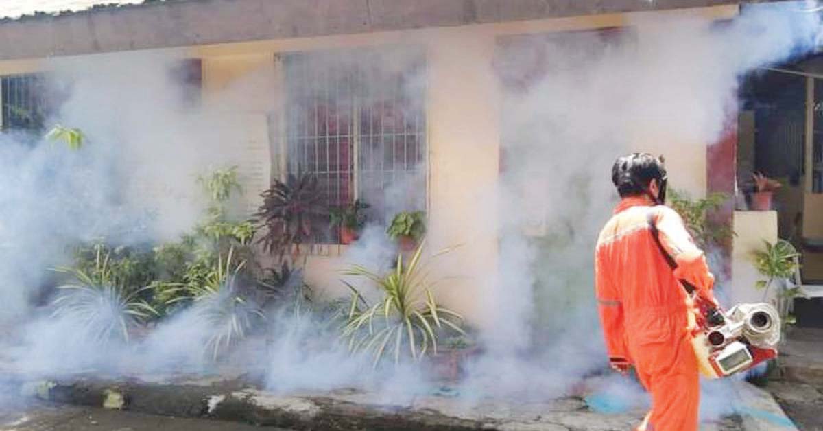 The Bacolod City Health Office urged residents to search and destroy all breeding and nesting places of mosquitoes as dengue cases increased by 96 percent for this year as of February 8, 2025. (Bacolod CHO / File photo)