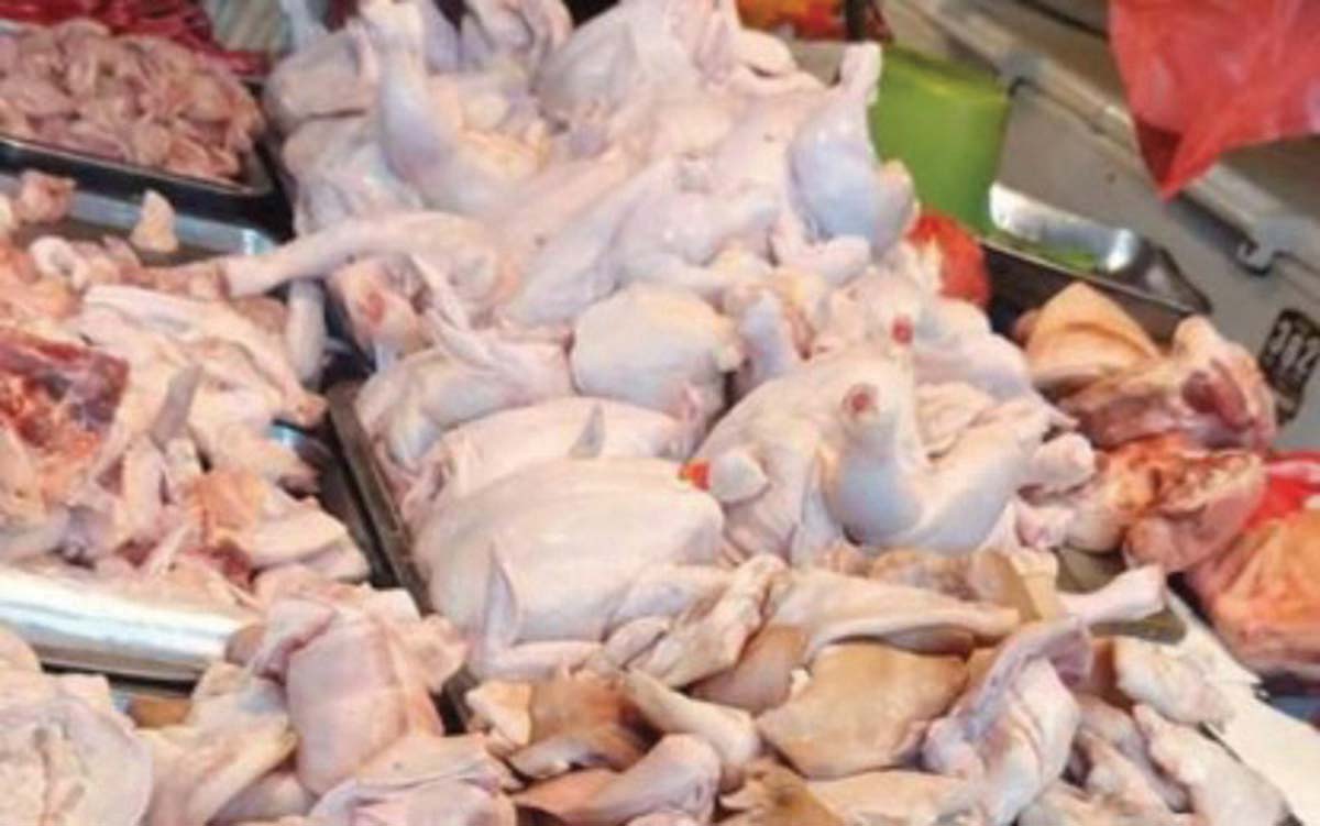 Chicken production in Negros Occidental increased by 8.18 percent in 2024, according to the data released by the Philippine Statistics Authority. The province produced 43,652.25 metric tons (MT) of chicken last year, compared to 40,350.82 MT in 2023. (PNA Bacolod / File photo)