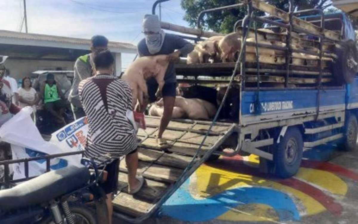 3 W. Visayas towns upgraded to ASF yellow zone