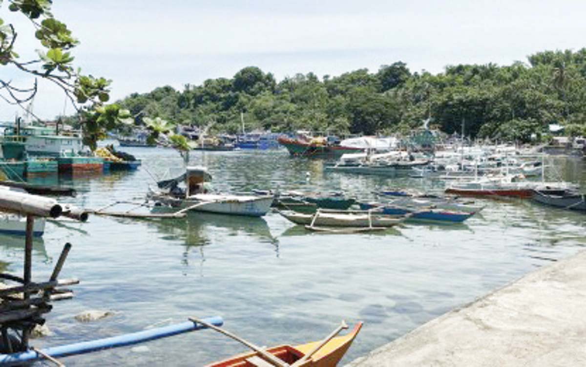 Fishing boats are docked at the Tambobo Port in Barangay Bonbonon, Siaton town in Negros Oriental in this undated photo. The Bureau of Fisheries and Aquatic Resources in the province says that large commercial fishing vessels are still banned within the 15-kilometer municipal waters despite a Supreme Court ruling. (PNA photo)