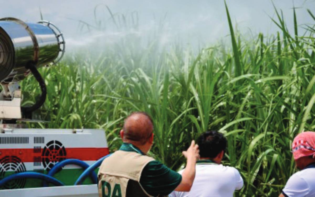 Agriculture Secretary Francisco Tiu Laurel, Jr. observes the use of the mobile disinfection unit to spray pesticides on sugarcane areas in Bacolod City affected by the red-striped soft scale insect (RSSI) in this undated photo. The Sugar Regulatory Administration says it would expedite the use of P10 million worth of aid and intervention to combat the effects of RSSI infestation. (Department of Agriculture-Western Visayas / File photo)