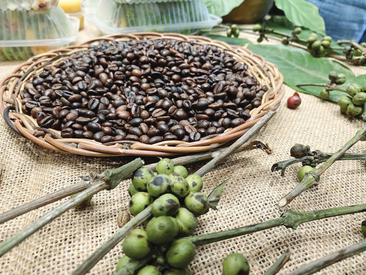 Now in its second year, the three-day Negros Occidental Coffee Fiesta at a mall in Bacolod City gathers coffee farmers, cafe owners and coffee advocates. (Cesar Jolito III photo)