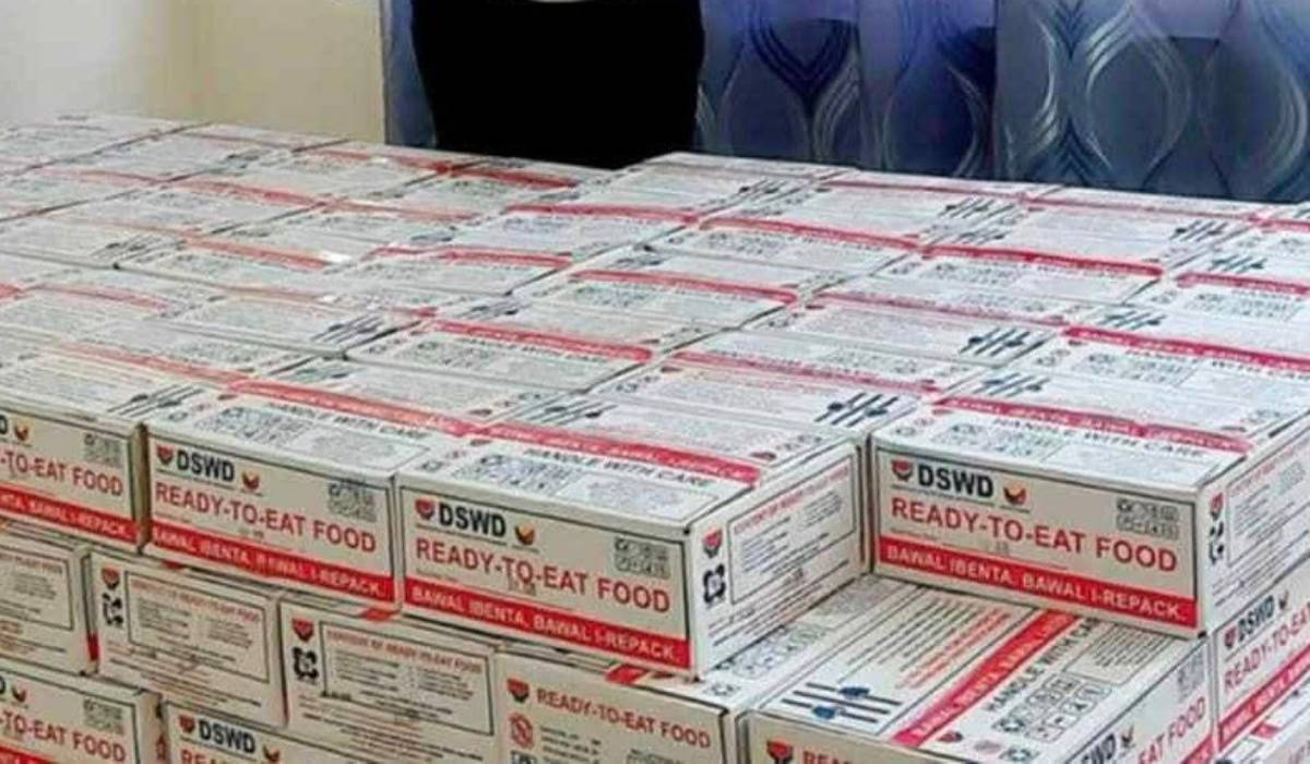 DSWD-NIR prepositions emergency food packs in NegOcc ports