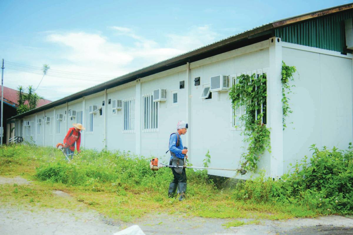Personnel from the Bacolod City Environment and Natural Resources Office have been dispatched to remove debris and clear overgrown grass from the temporary storage facilities at the City Agriculture Office compound in Barangay Alijis. The city government stressed that the cleanup is the initial step in ensuring the facilities remain a strategic asset for the city's storage initiatives. (Bacolod PIO photo)