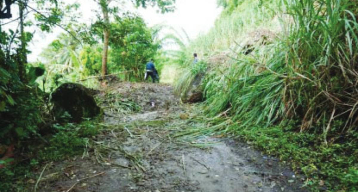 Workers clean a sugarcane field in Barangay Masulog, Canlaon City, Negros Oriental, of debris following a landslide triggered by heavy rains over the weekend. Authorities are vigilant against landslides and lahar flow in the city amid weather disturbances that are triggering heavy rainfall. (Canlaon City Disaster Risk Reduction and Management Office photo)