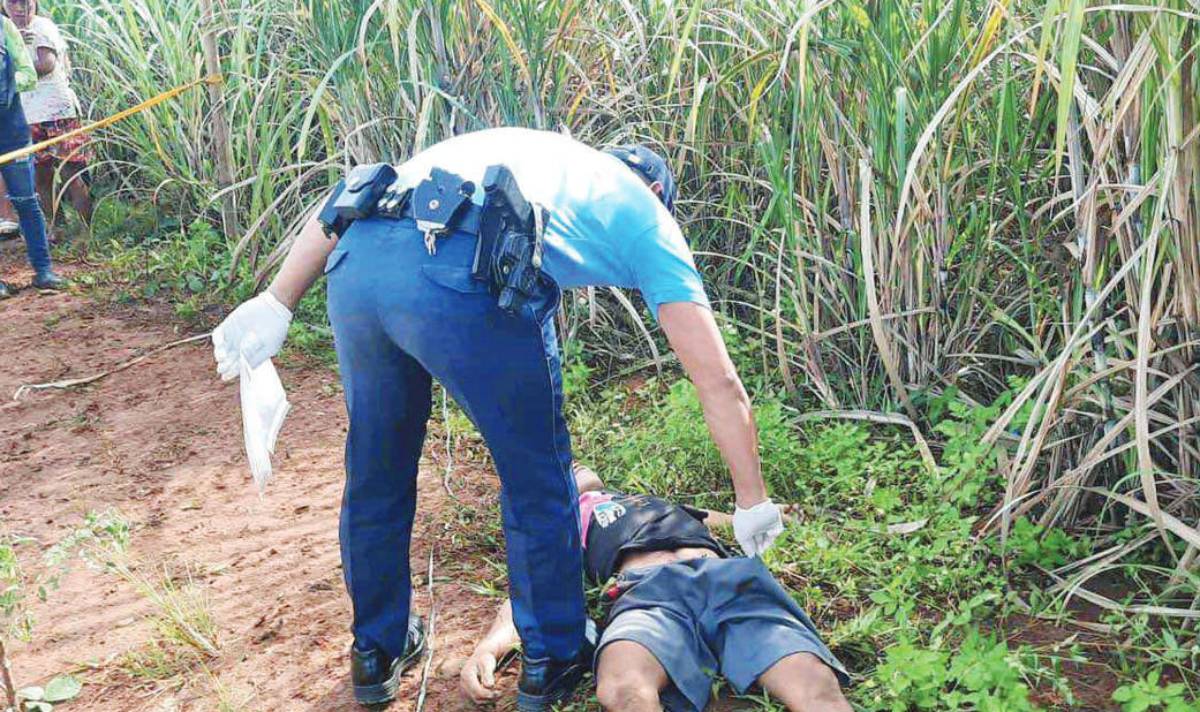 The motive behind the killing of a 35-year-old farmer has yet to be determined. (Contributed photo)