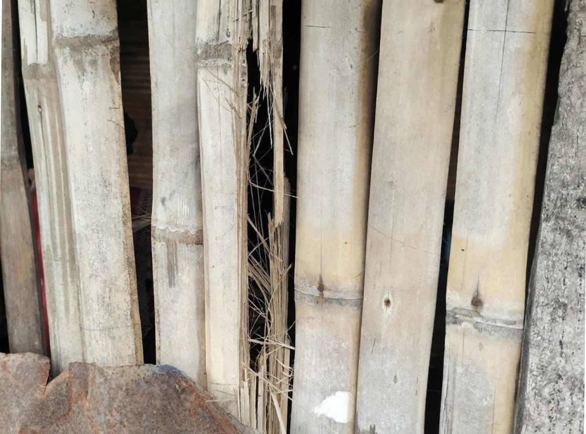 Lightning kills 11-year-old boy