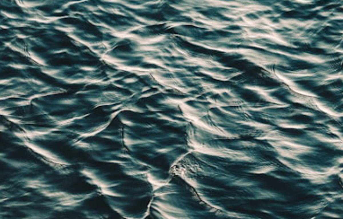 Search on for missing fisherman