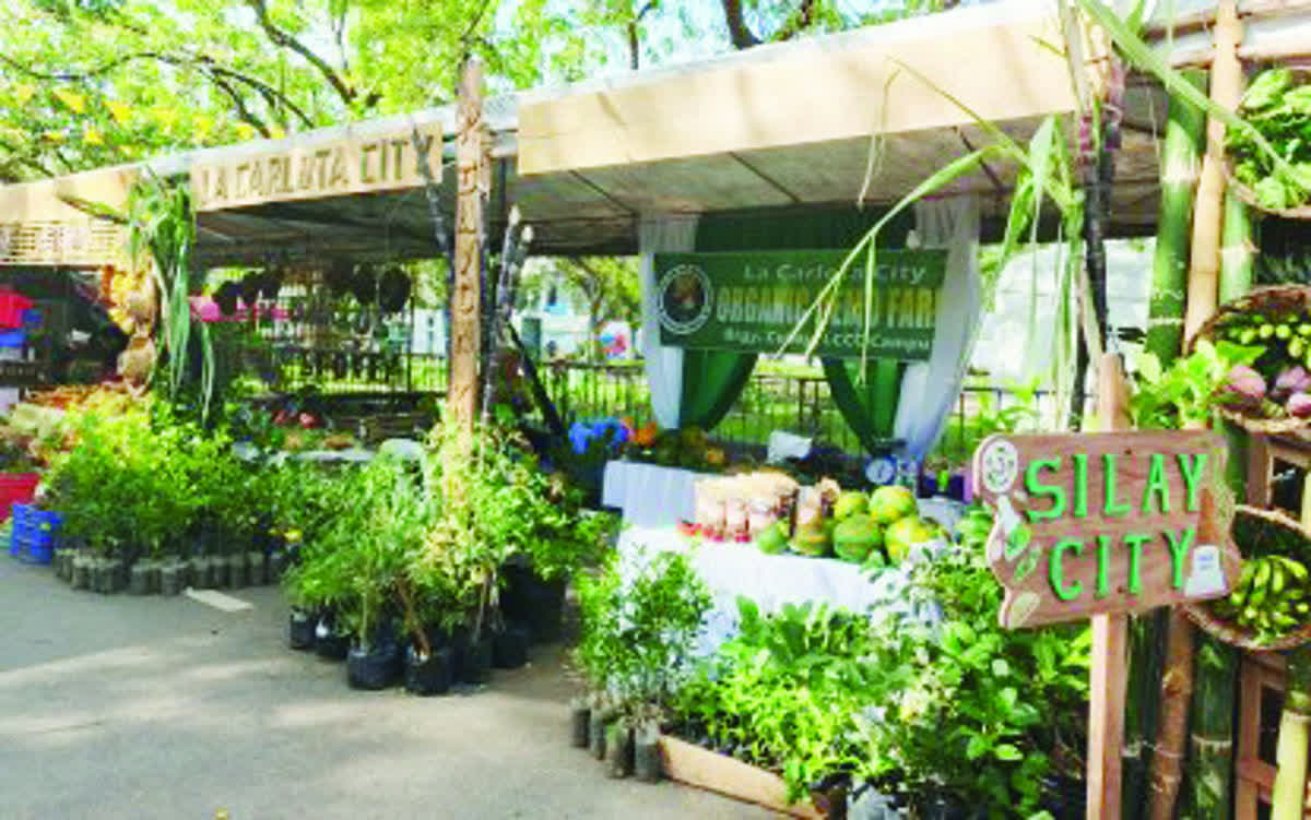 Almost 50 exhibitors showcase Negros organic products