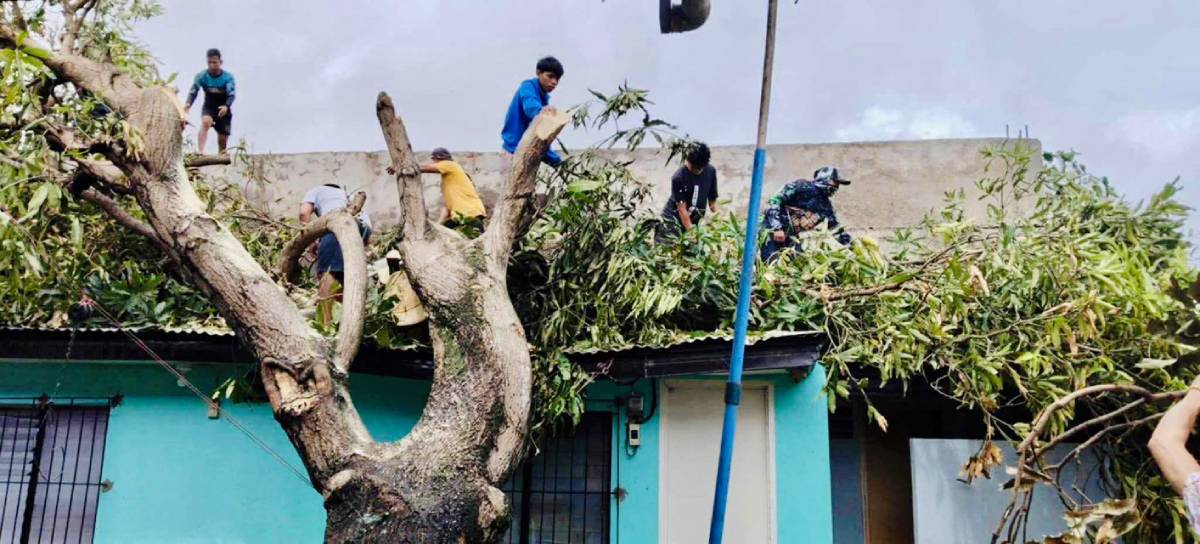 Public urged to refrain from burning typhoon debris