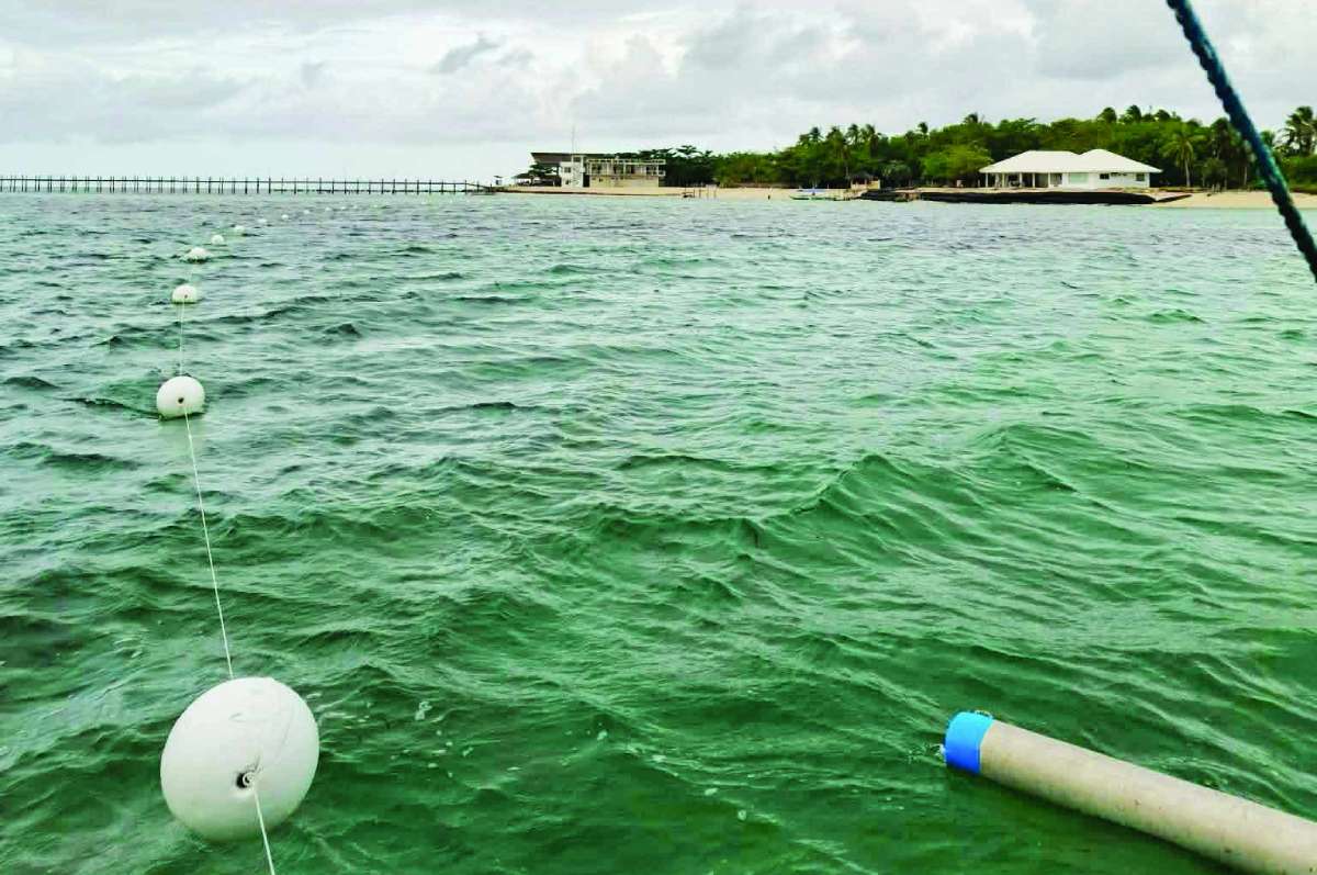 Marker buoys were installed along the coastline of Lakawon Marine Protected Area to clearly mark strict no-entry boundaries following the illegal harvesting of 33 giant clams from the Giant Clam Village in Negros Occidental’s Cadiz City on Christmas Day. Unidentified poachers illegally entered the protected area, killing 33 giant clams by tearing them from their seabed habitat and leaving their shells scattered at the scene. (Mayor Bading Escalante photo)