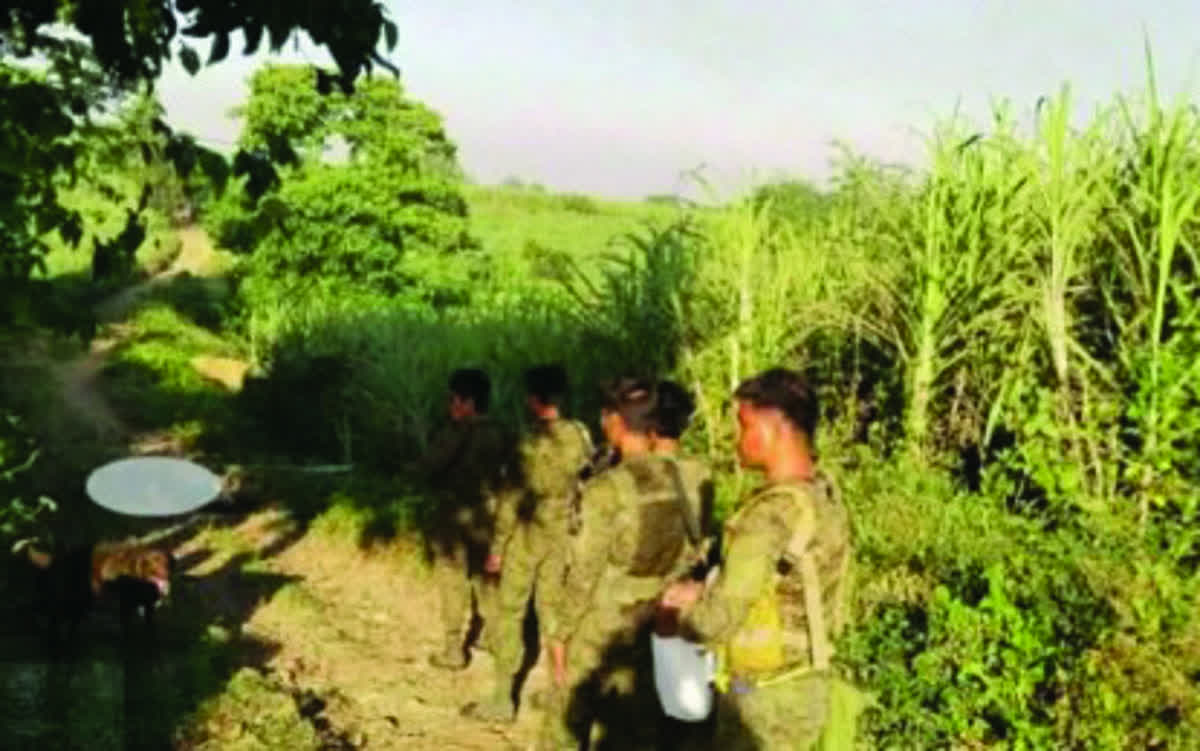 Troops of the Philippine Army’s 94th Infantry Battalion during the clearing operation in one of the encounter sites in Barangay Biao, Binalbagan, Negros Occidental on January 30, 2026. The series of clashes claimed the life of a New People’s Army remnants’ regional leader and his comrade. (303rd Infantry Brigade / Philippine Army photo)