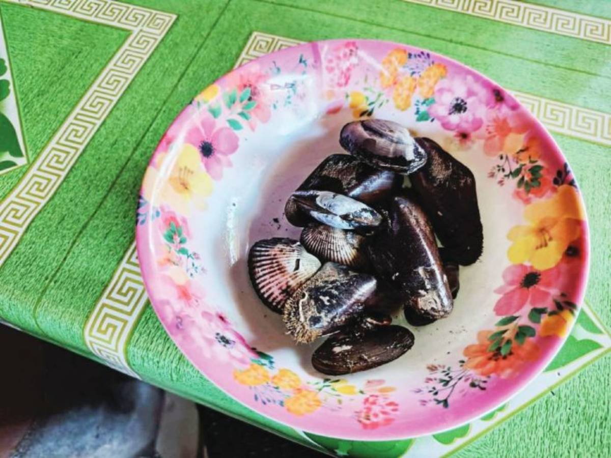 6 fall ill over clam soup
