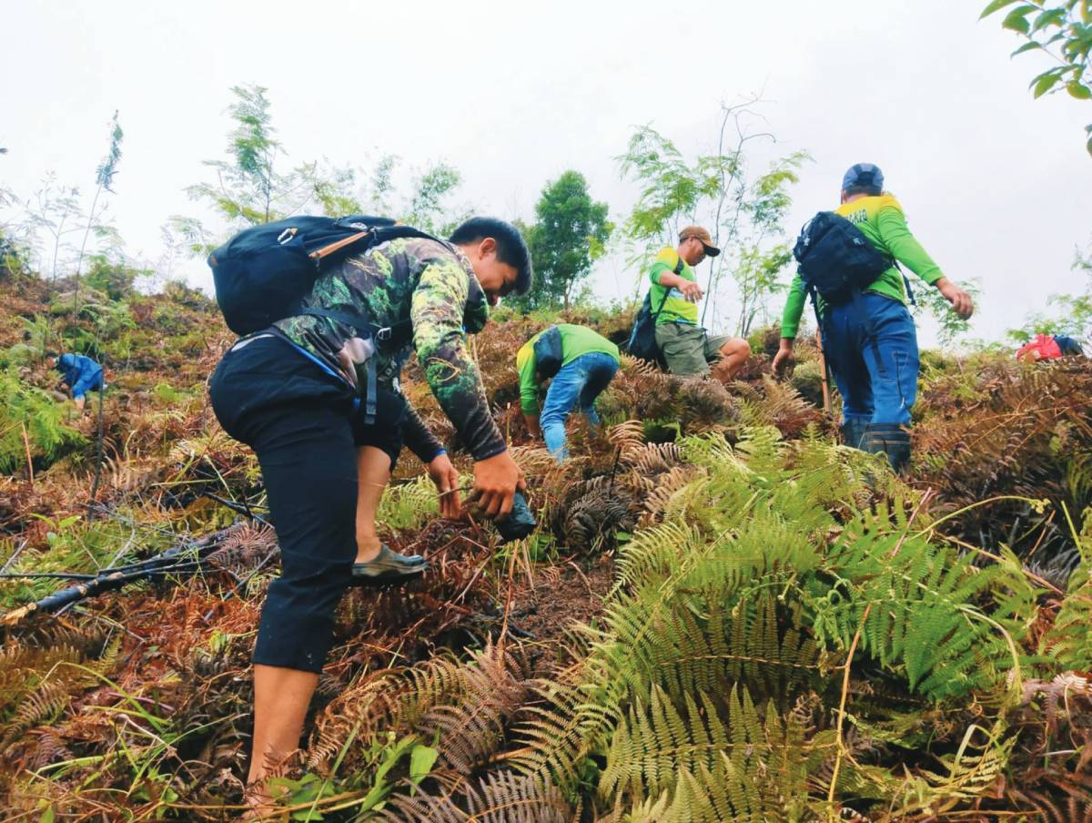 Ecosystems under threat | Environmental protection, food security sought