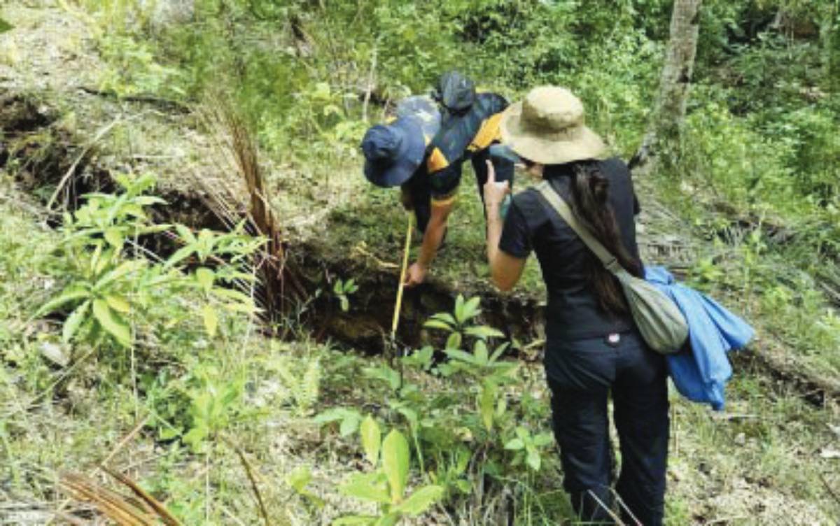 Several ground cracks were observed to have “widened further, indicating ongoing ground movement” aside from new ground cracks in Negros Occidental’s Toboso town. (Negros Occidental PEMO photo)
