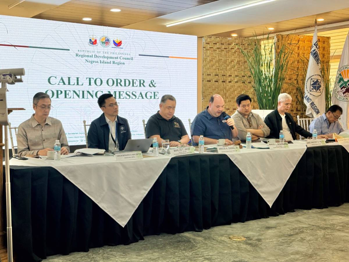 RDC-NIR OKs inter-agency body to boost resilience program