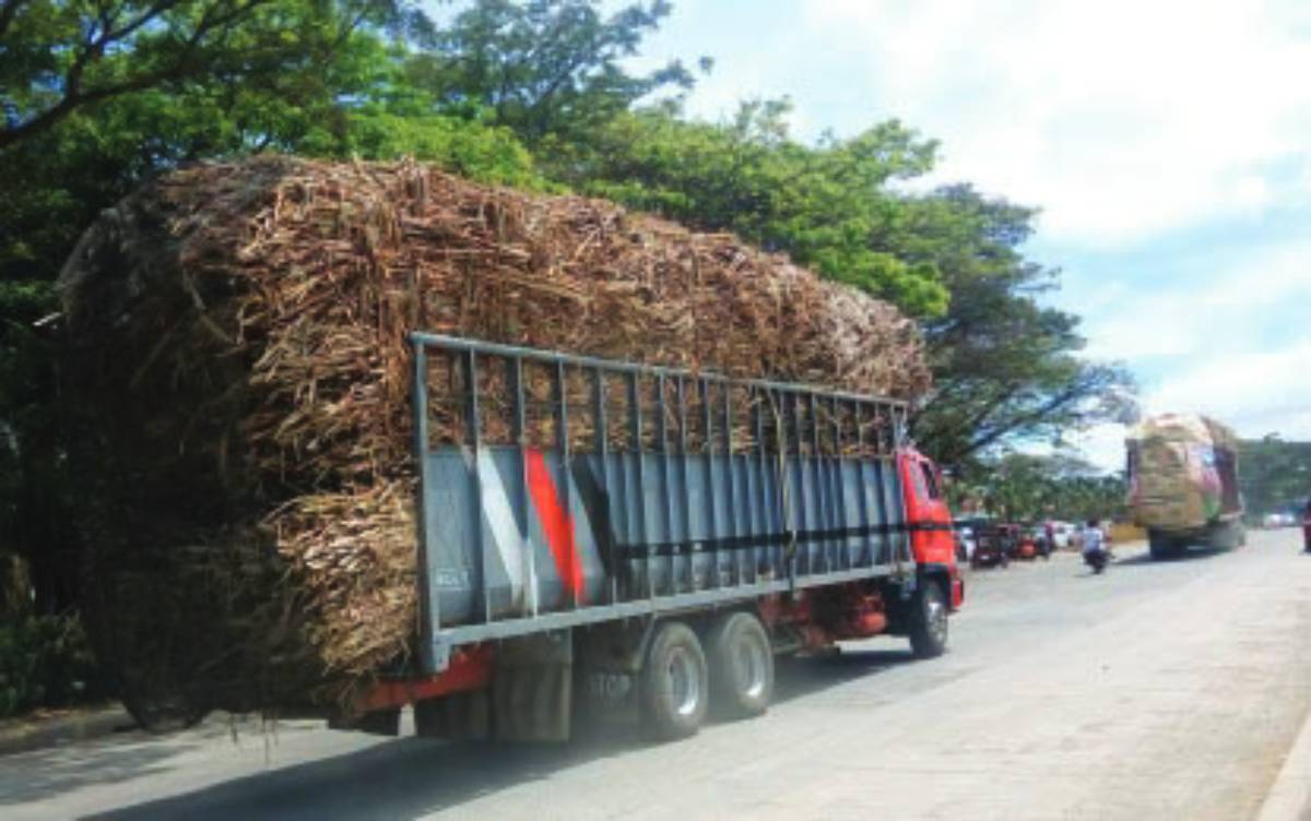 Sugar mills urged to increase trucking allowance