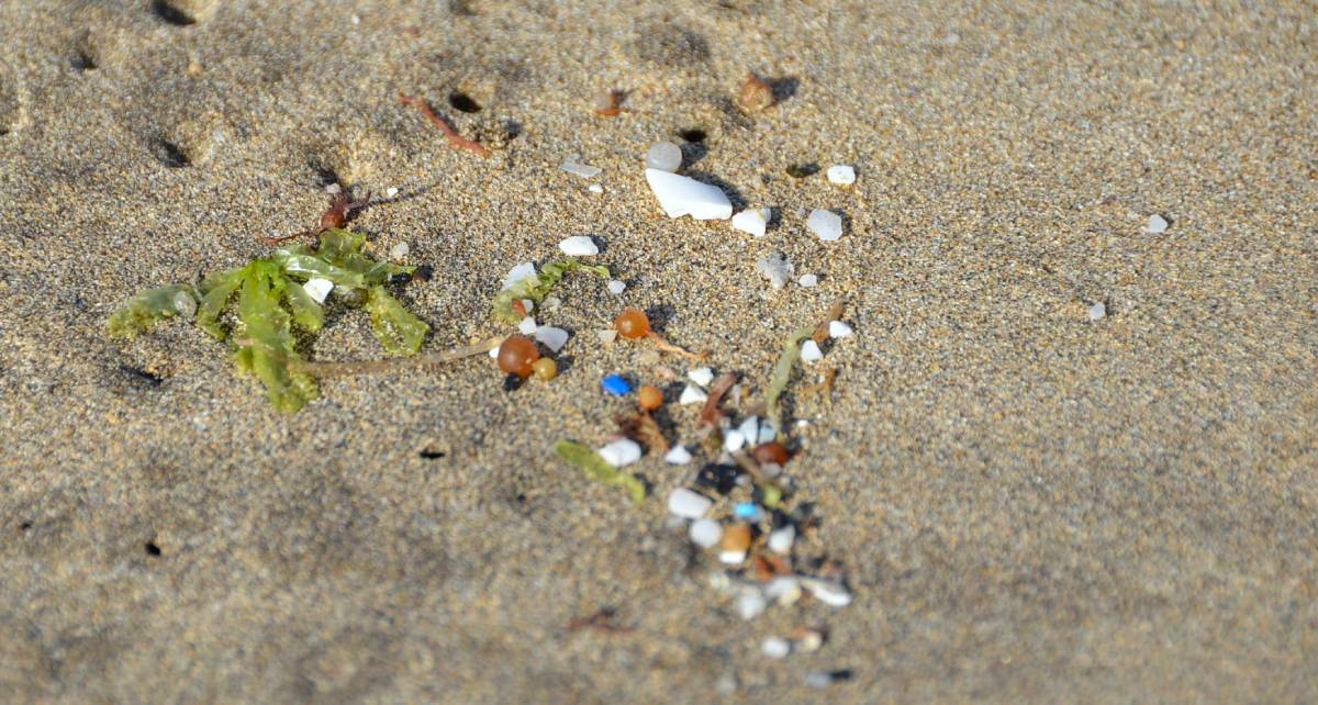 ‘Time bomb?’ Race to identify health effects of microplastics