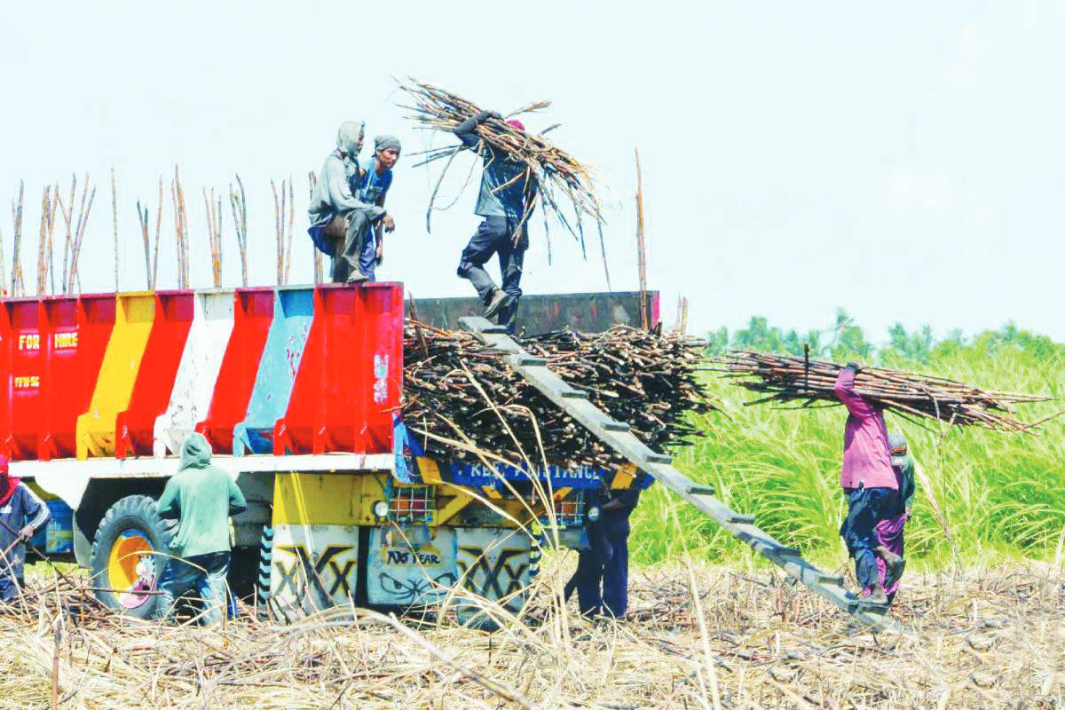 Buy excess sugar now | Sugar stakeholders urge swift action on stocks