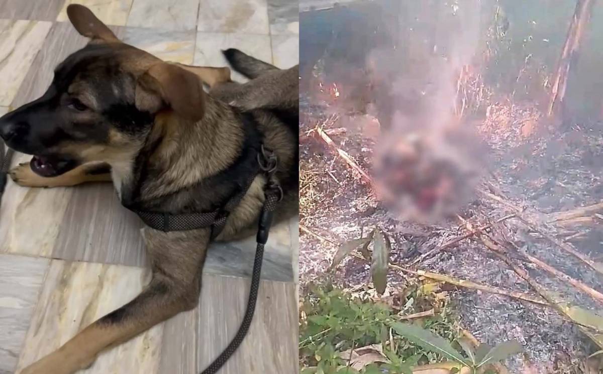 Photo courtesy of K5 News FM