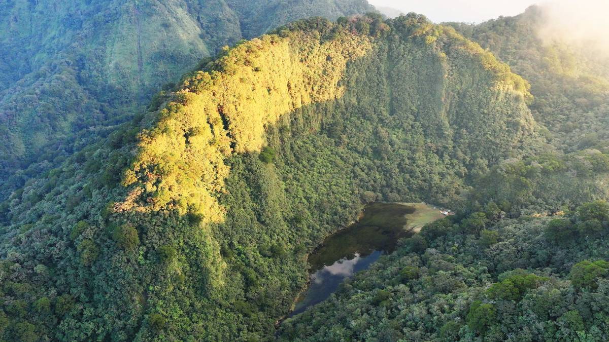 The Tinagong Dagat in northern Negros Occidental was temporarily closed earlier this year to allow personnel from the Northern Negros Natural Park to facilitate an environmental monitoring assessment, as well as the review, enhancement and rationalization of existing trekking policy guidelines. Authorities conducted a trail resource assessment and monitoring across Tinagong Dagat’s four official trails in Silay City, Talisay City, Murcia, and Don Salvador Benedicto. Story on page 3. (Northern Negros Natural Park / Facebook photo)
