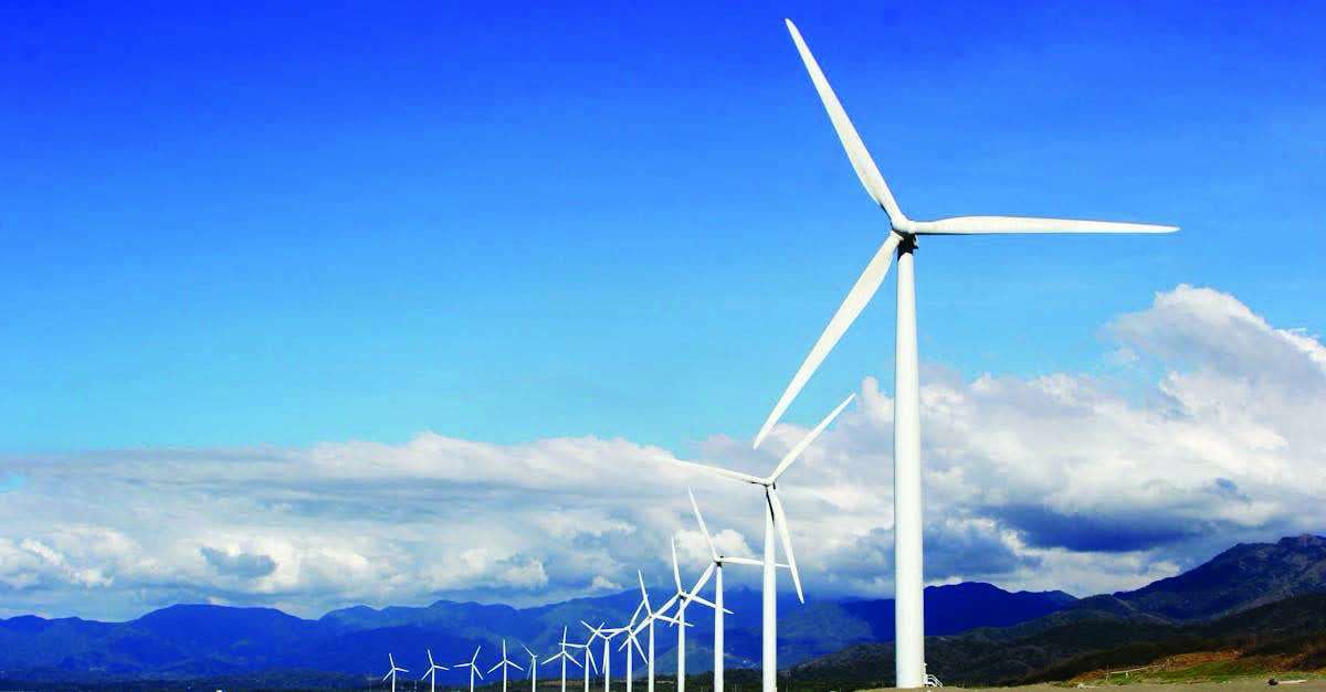 The Negros Occidental provincial government has sought the assistance of the Philippine Biodiversity Conservation Foundation to conduct a scientific assessment of the proposed wind farm’s potential effects on bird populations and habitats.