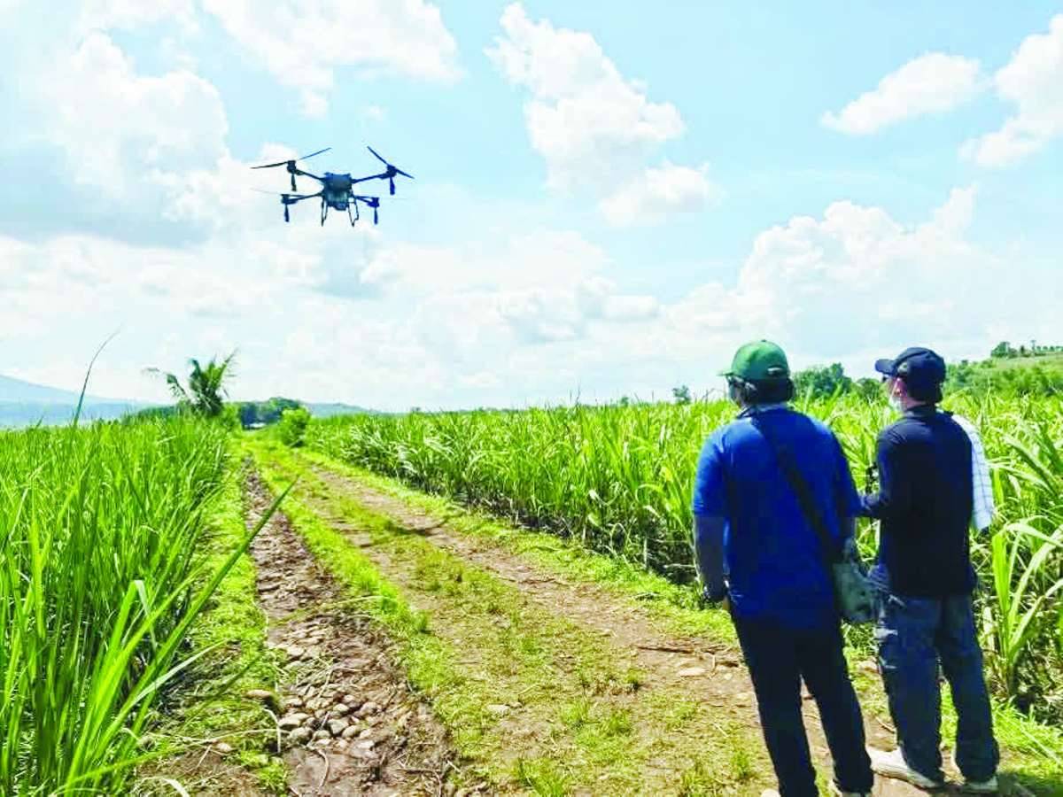 The Sugar Regulatory Administration conducted an aerial spraying operation covering 3.43 hectares of sugarcane plantation to contain the infestation of red-striped soft scale insects at Barangay Camandag in Negros Occidental’s La Castellana town, enhancing response to protect crops in one of the identified hotspots. (SRA photo)