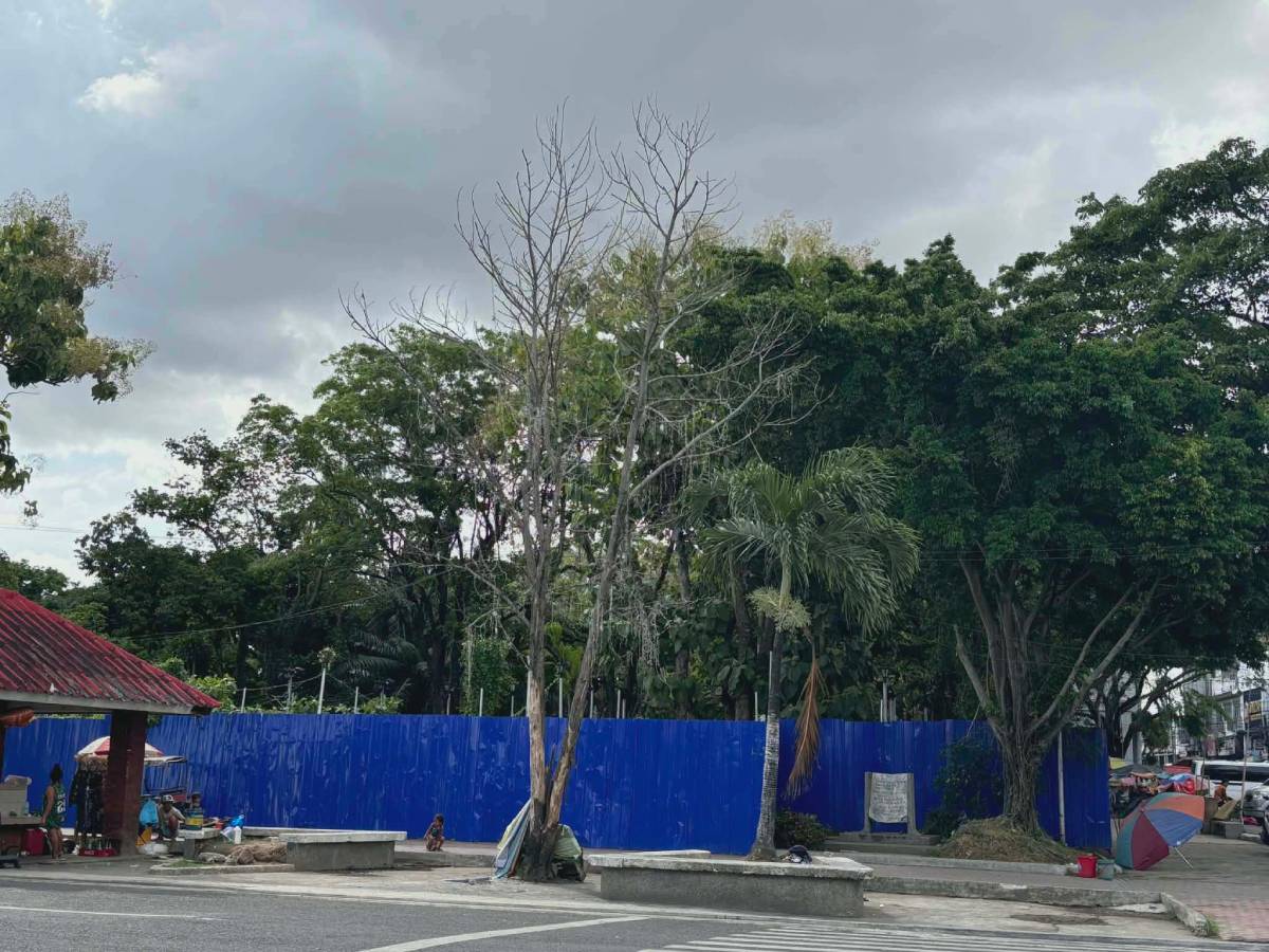 Photo courtesy of Merlinda A. Pedrosa/WDJ